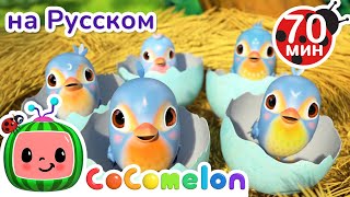 Считаем Птичек🐦 | Детские Песенки Cocomelon