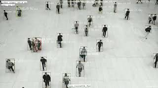 FCOS Object Detection Demo | Inference using PyTorch & TorchVision | 3