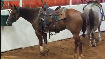 Xtra Smart Jazz - Mechanical Flag Work