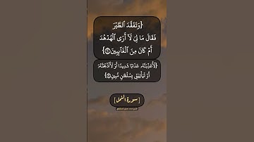 سورة النمل الآية ٢٠ الى ٢٣ بصوت الشيخ محمد صديق المنشاوي
