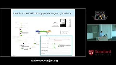 RBP database - Brenton Graveley and Eric van Nostrand