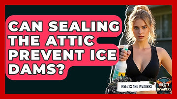 Can Sealing The Attic Prevent Ice Dams? - Insects and Invaders