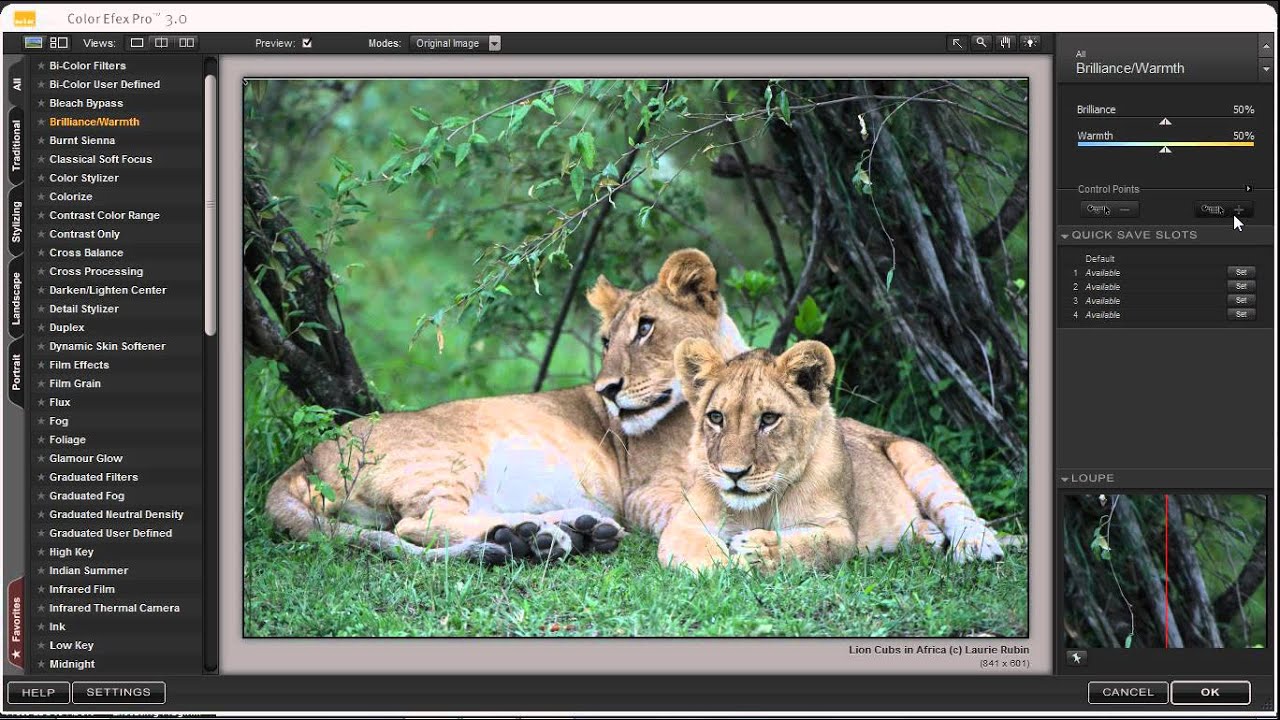 Using control points in NIK Color Efex Pro 3.0 - YouTube