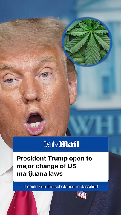 Trump considers reclassifying marijuana as less dangerous drug
