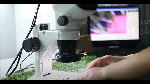 Artificial grass factory artificial turf test by CCGrass