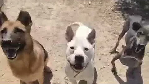 Luke, Debra and Rocco are all lined up and waiting...