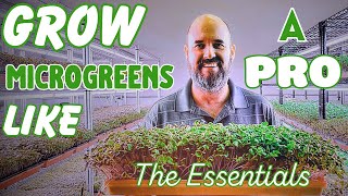 Start Growing Microgreens Like a Pro: Equipment and Setup Essentials