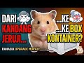 Kenapa Hamster Gigit Jeruji?
