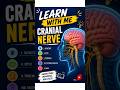 cranial nerve#nurse #learn with me 👍👍