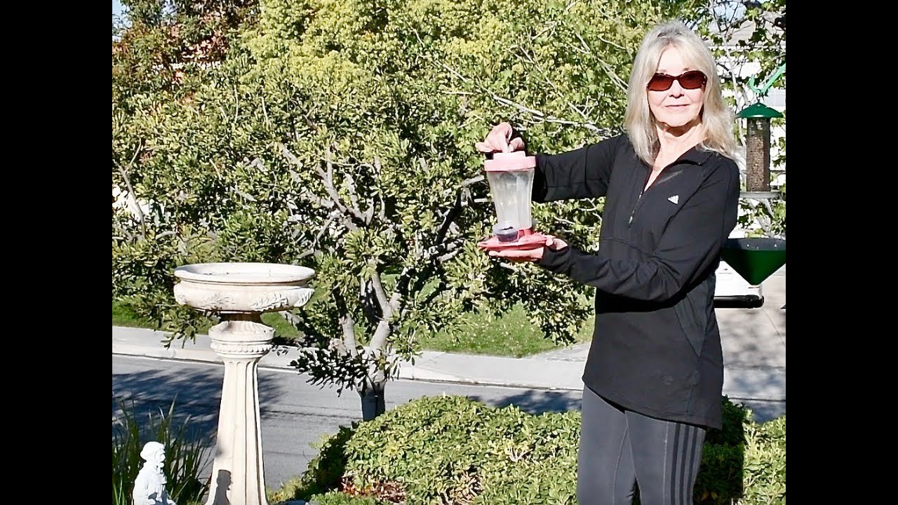 Orioles, Eating Grape Jelly from Hummingbird Feeder, Easy set up! YouTube