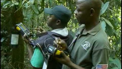 Using CyberTracker Systems in Wildlife Research