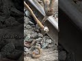 ERC Rail Clip Installation. #railway #railwork #shorts