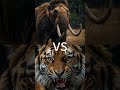 Who will win? #viralvideo