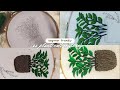Learn to hand embroider leaves for beginners using satin stitch/Embroidering hanging plants design