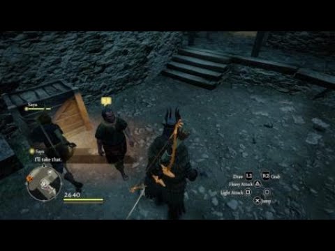 Dragon's Dogma -
