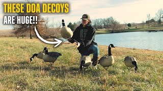 These DOA Decoys are HUGE! (DOA Rogue Series Canada Goose Decoys)