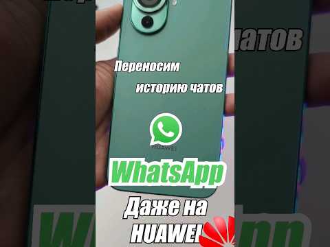 Видео: Как перенести контакты WhatsApp на Android?