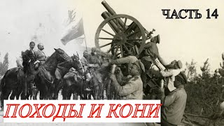 ЗАПИСКИ БЕЛОГВАРДЕЙЦА. Гражданская война-день за днем. Мамонтов С.И. Часть 14 (Исход)