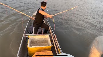 Test máy kích cá kéo cáp thực tế khách hàng vớt cá mỏi tay. Lh 0985802199