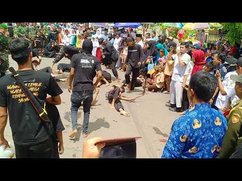 Video: Apakah jenis dan ciri blok soket