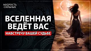 Как Вселенная ведет нас к нашей судьбе