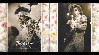 Prince & The Revolution⚜️ WORCESTER 1985 Pt.1 [Live Soundboard]