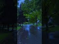calm music for sleep #sleep #rain #meditation tion