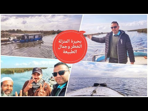 يوم في بحيرة المنزلة أسرار البحيرة وخباياها