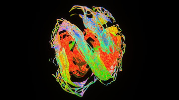 Colored thing made with Blender - 4K HDR