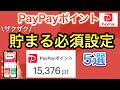 【〇〇を押すだけ】PayPayポイントが貯まりすぎる必須設定5選
