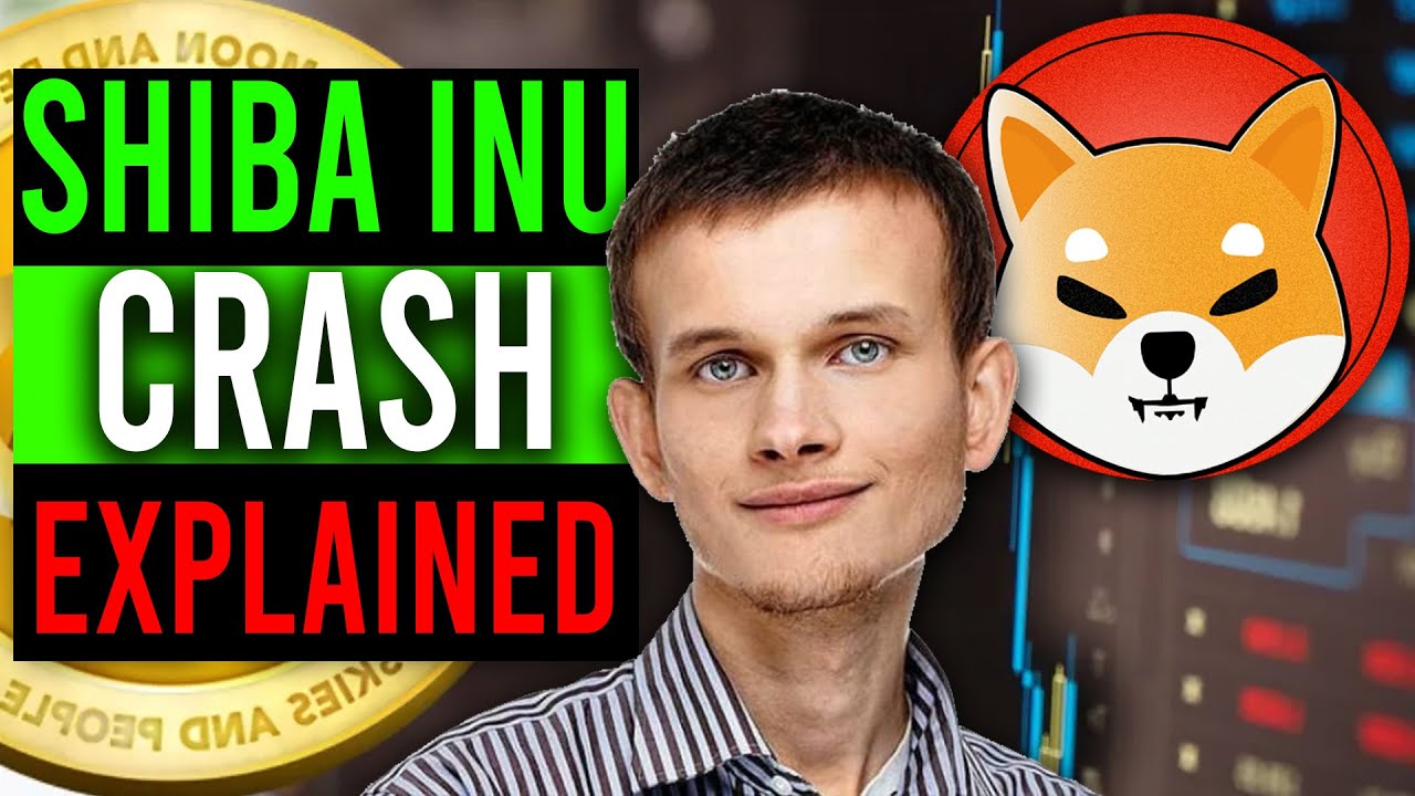 SHIB CRASH EXPLAINED! WHY DID $SHIB JUST CRASH? (SIBA INU ...