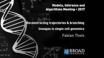 MIA: Fabian Theis, Reconstructing trajectories and branching lineages in single cell genomics