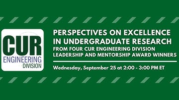 Perspectives on Excellence in Undergraduate Research from Four Engineering Division Award Winners