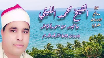 سورة فاطر (١٥-٣٣) - تلاوة إذاعية - الشيخ محمد الليثى رحمه الله