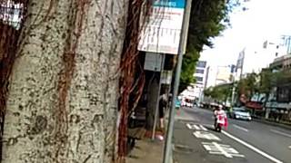 307往撫遠街路線公車搭乘記錄(20170718)民族區運路口→環球購物中心
