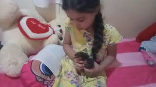 Menina Felicia Cuidando De Seus Pintinhos