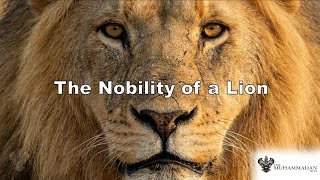 Use Your Knowledge For Enlightenment and Raising People | Shaykh Nurjan Mirahmadi ق