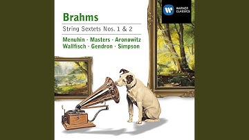 String Sextet No. 1 in B-Flat Major, Op. 18: I. Allegro ma non troppo