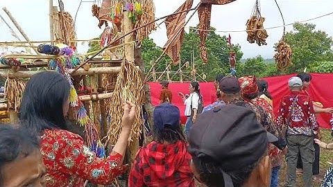 tari deder dan menasai di acara puncak ritual totoh dalo suku Dayak Siang agama Kaharingan