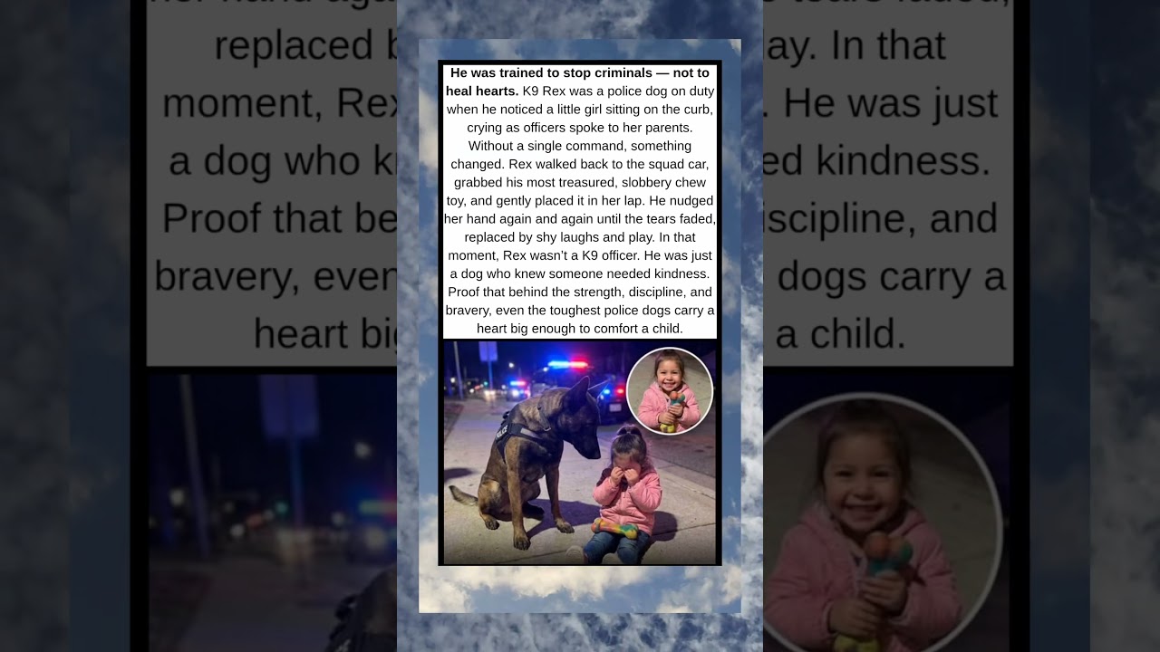 He Was Trained to Stop Criminals — But He Chose to Heal a Heart