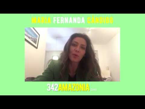 Maria Fernanda Cândido - 342 Amazônia