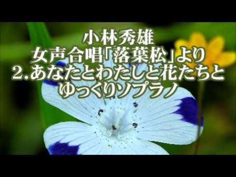 小林秀雄　女声「落葉松」より　２．あなたとわたしと花たちと　ゆっくりソプラノ
