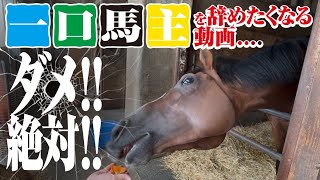 一口馬主！ダメ！絶対！一口馬主の新規入会を辞めたくなる動画
