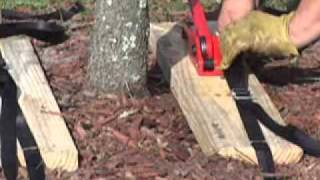 Tree Frog Root Ball Install Video
