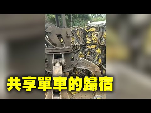 视频者:这就是共享自行车的归宿,都成废铁...