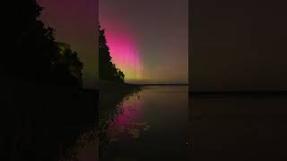 Elohira - Ethereal Wave / Neoclassical Darkwave #shorts #shortvideo #auroraborealis