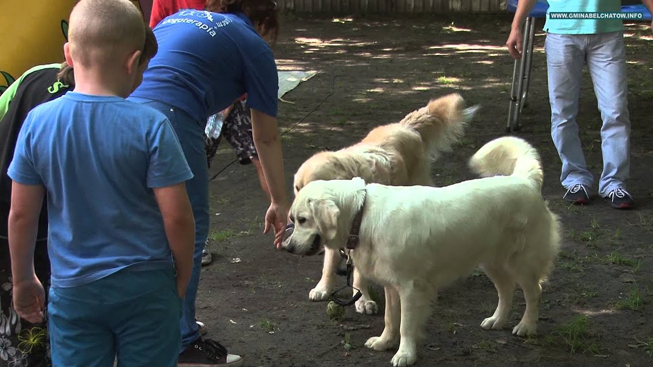 Bawmy się razem w Łękawie