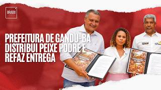 Prefeitura De Gandu - Ba Distribui Peixe Podre E Refaz Entrega
