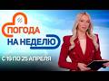 Дожди и холода! | Погода в Беларуси с 19 по 25 апреля | Плюс-минус