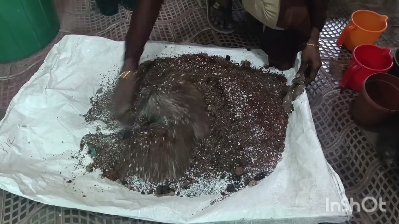 നമ്മുക്ക് ഇന്ന് ഒരു പ്രോട്ടീൻ മിക്സ്‌ തയ്യാറാക്കിയാലോ... 🌾🌱